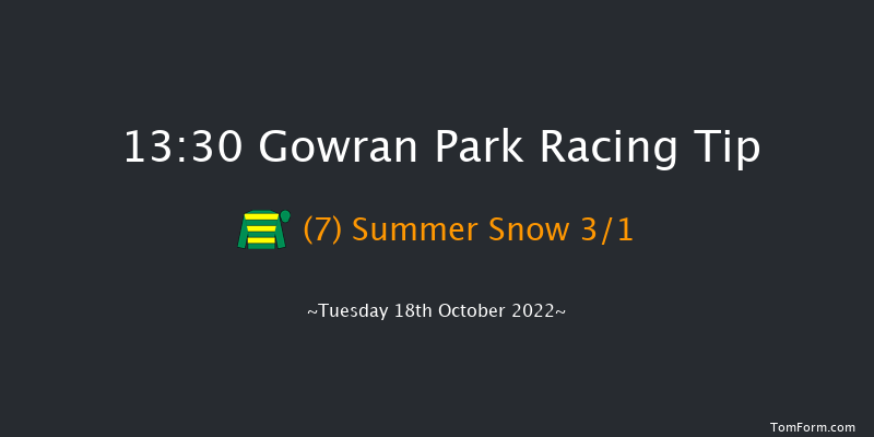 Gowran Park 13:30 Handicap 7f Sat 1st Oct 2022