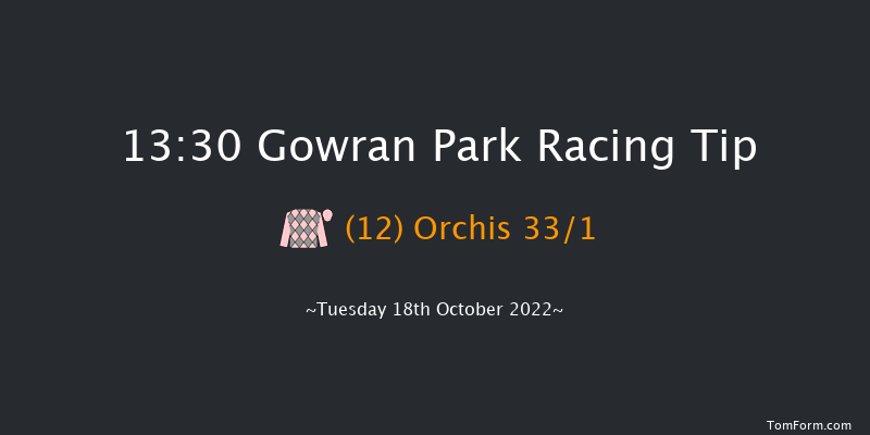 Gowran Park 13:30 Handicap 7f Sat 1st Oct 2022