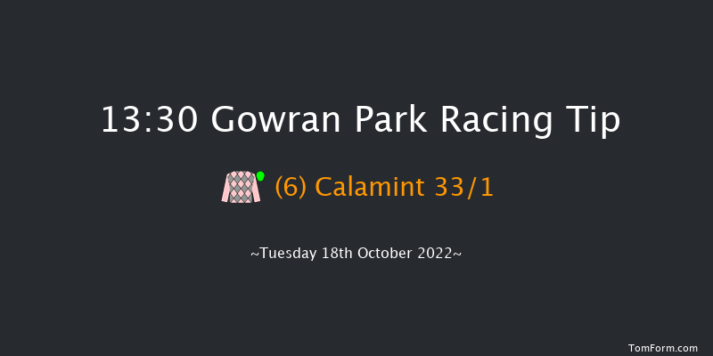 Gowran Park 13:30 Handicap 7f Sat 1st Oct 2022