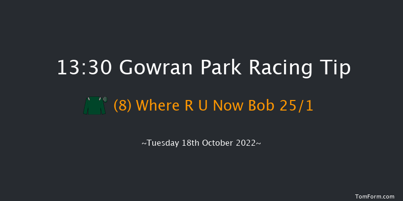 Gowran Park 13:30 Handicap 7f Sat 1st Oct 2022