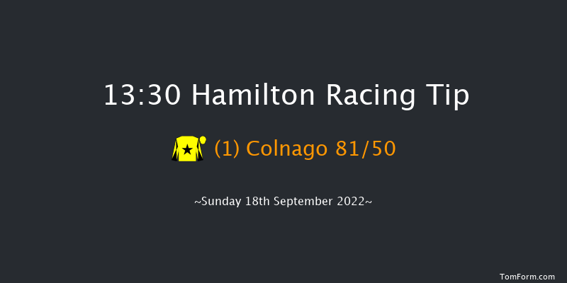 Hamilton 13:30 Stakes (Class 5) 5f Wed 31st Aug 2022