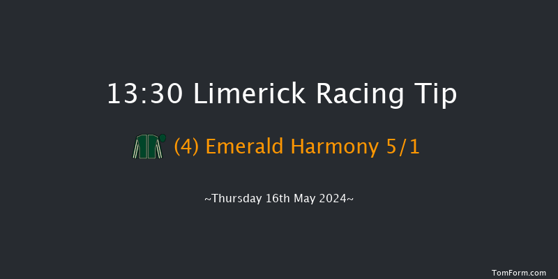 Limerick  13:30 Maiden 7f Fri 19th Apr 2024