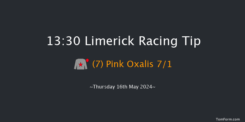 Limerick  13:30 Maiden 7f Fri 19th Apr 2024