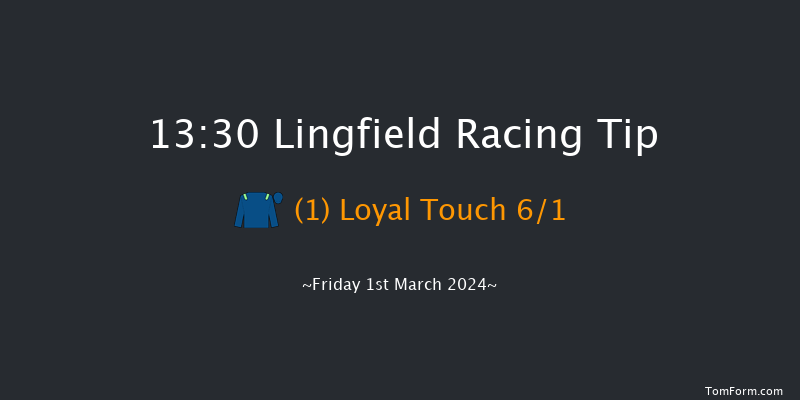 Lingfield  13:30 Handicap
(Class 4) 10f Fri 23rd Feb 2024