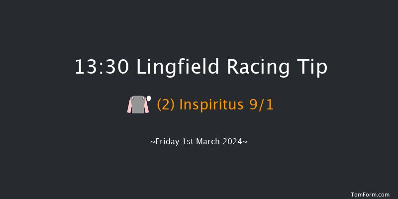 Lingfield  13:30 Handicap
(Class 4) 10f Fri 23rd Feb 2024