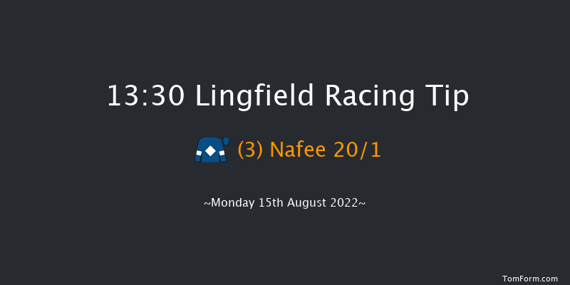 Lingfield 13:30 Handicap (Class 6) 10f Tue 9th Aug 2022