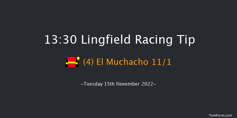 Lingfield 13:30 Maiden Hurdle (Class 4) 16f Sat 12th Nov 2022