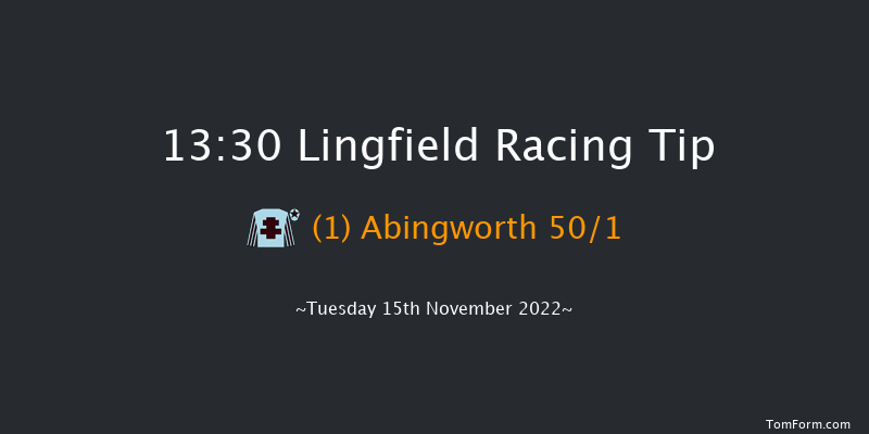 Lingfield 13:30 Maiden Hurdle (Class 4) 16f Sat 12th Nov 2022