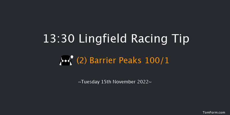 Lingfield 13:30 Maiden Hurdle (Class 4) 16f Sat 12th Nov 2022