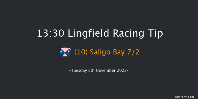 Lingfield 13:30 Handicap Hurdle (Class 4) 16f Thu 27th Oct 2022