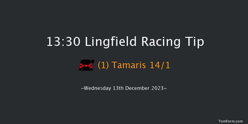 Lingfield 13:30 Handicap (Class 6) 12f Mon 11th Dec 2023