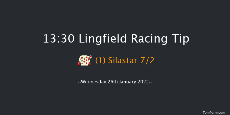 Lingfield 13:30 Handicap (Class 6) 10f Tue 25th Jan 2022