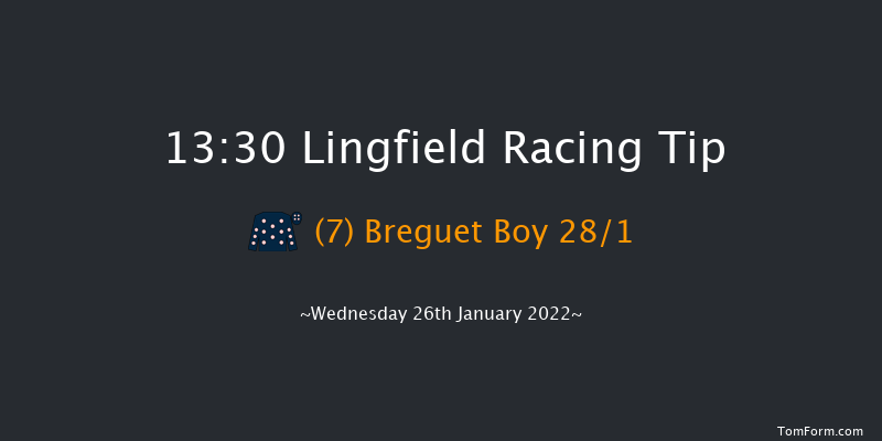 Lingfield 13:30 Handicap (Class 6) 10f Tue 25th Jan 2022