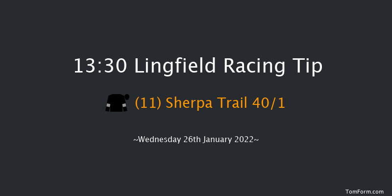 Lingfield 13:30 Handicap (Class 6) 10f Tue 25th Jan 2022