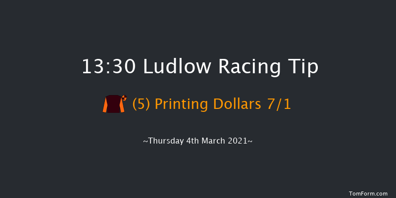 C.B.Protection Mares' Handicap Hurdle Ludlow 13:30 Handicap Hurdle (Class 3) 24f Wed 24th Feb 2021