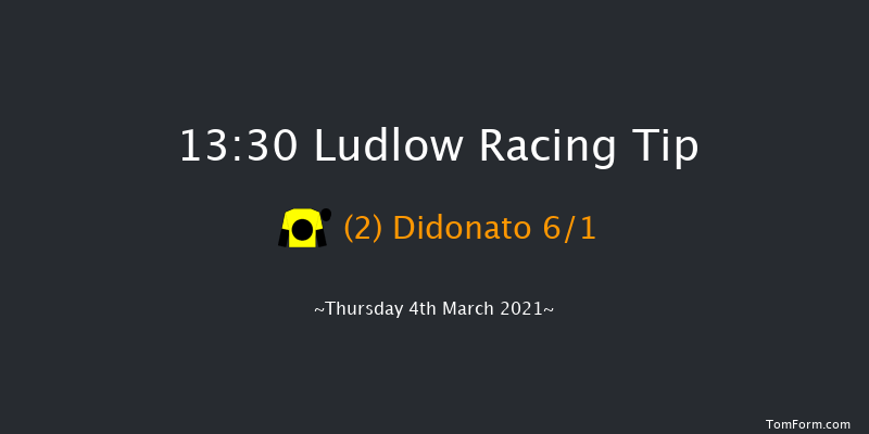 C.B.Protection Mares' Handicap Hurdle Ludlow 13:30 Handicap Hurdle (Class 3) 24f Wed 24th Feb 2021