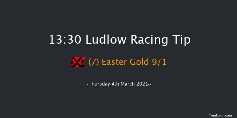 C.B.Protection Mares' Handicap Hurdle Ludlow 13:30 Handicap Hurdle (Class 3) 24f Wed 24th Feb 2021