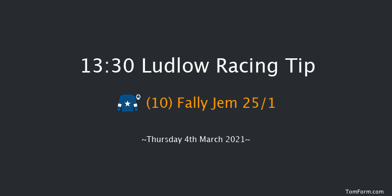 C.B.Protection Mares' Handicap Hurdle Ludlow 13:30 Handicap Hurdle (Class 3) 24f Wed 24th Feb 2021