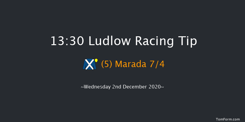 Shropshire Mind Mares' Handicap Hurdle (GBB Race) Ludlow 13:30 Handicap Hurdle (Class 2) 16f Mon 23rd Nov 2020