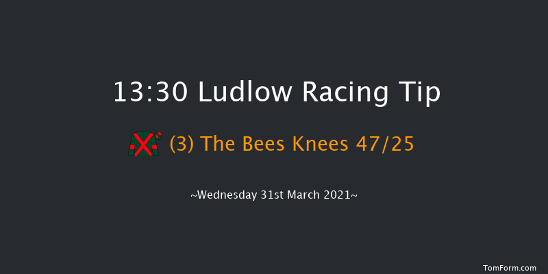 Watch On RacingTV Handicap Hurdle Ludlow 13:30 Handicap Hurdle (Class 3) 16f Thu 25th Mar 2021