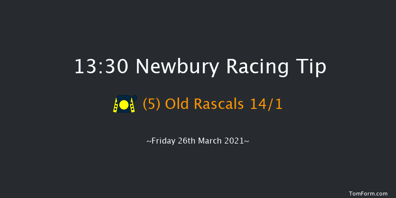 BetVictor Novices' Limited Handicap Chase (For The Brown Chamberlin Trophy) (GBB Race) Newbury 13:30 Handicap Chase (Class 3) 23f Sat 6th Mar 2021