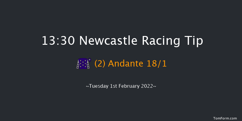 Newcastle 13:30 Novices Hurdle (Class 4) 16f Thu 27th Jan 2022