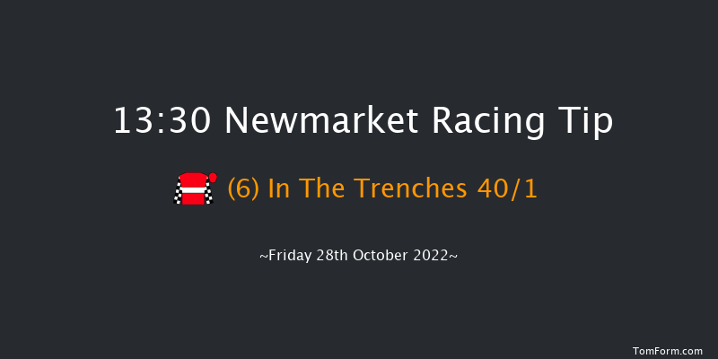 Newmarket 13:30 Stakes (Class 4) 7f Wed 19th Oct 2022