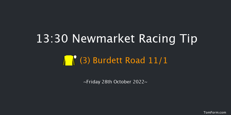 Newmarket 13:30 Stakes (Class 4) 7f Wed 19th Oct 2022