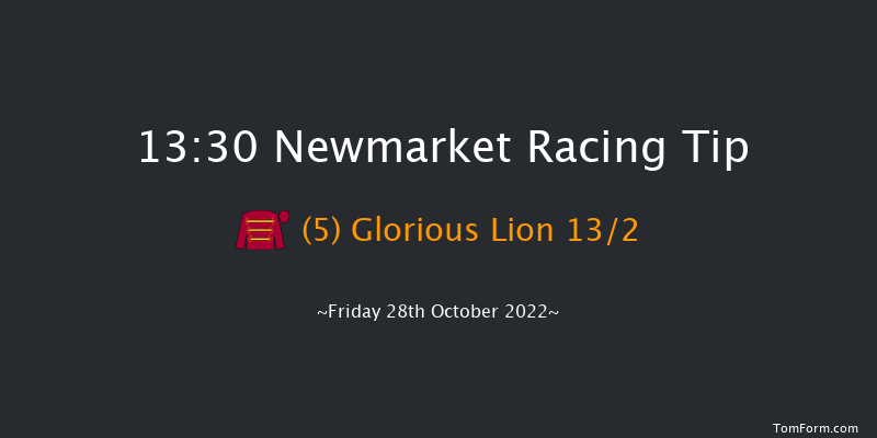 Newmarket 13:30 Stakes (Class 4) 7f Wed 19th Oct 2022