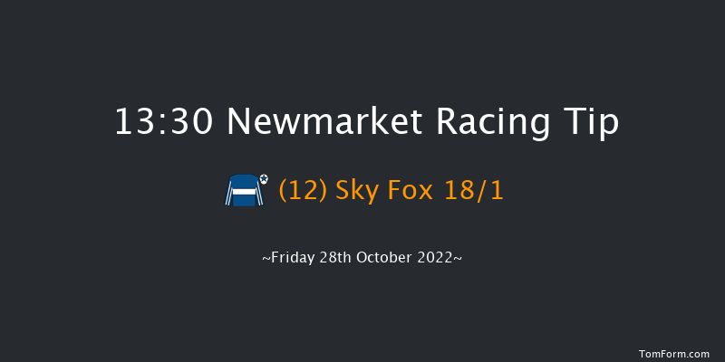 Newmarket 13:30 Stakes (Class 4) 7f Wed 19th Oct 2022