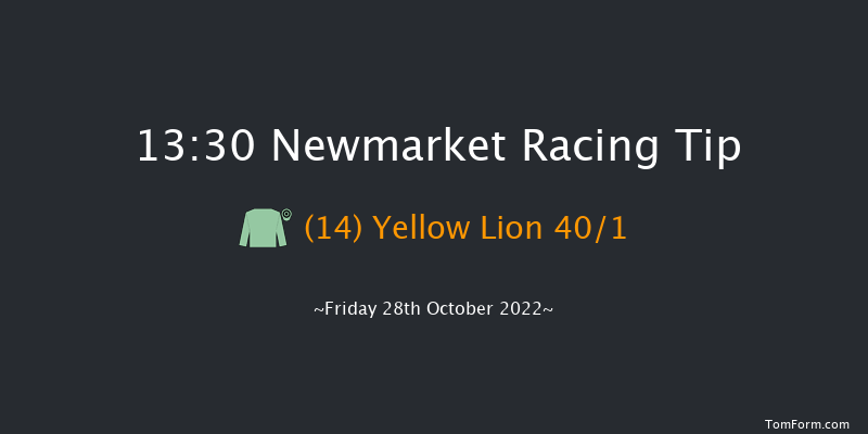 Newmarket 13:30 Stakes (Class 4) 7f Wed 19th Oct 2022