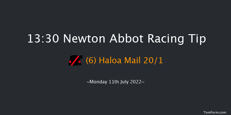 Newton Abbot 13:30 Maiden Hurdle (Class 4) 18f Fri 1st Jul 2022