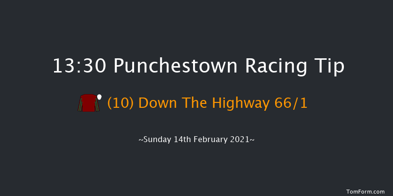 P.P. Hogan Memorial Cross Country Chase Punchestown 13:30 Conditions Chase 25f Mon 18th Jan 2021