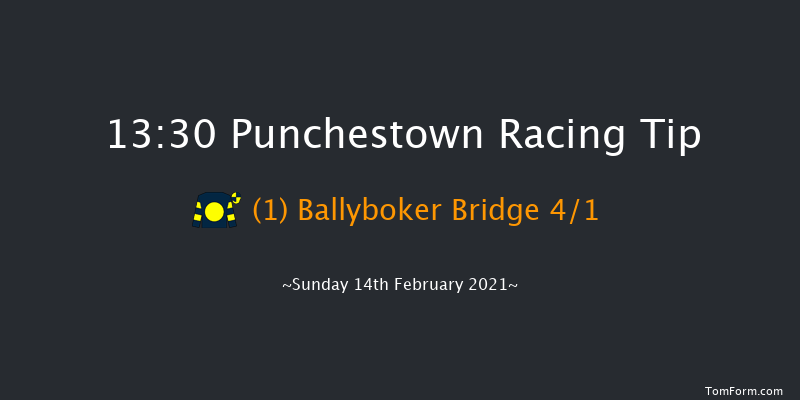 P.P. Hogan Memorial Cross Country Chase Punchestown 13:30 Conditions Chase 25f Mon 18th Jan 2021