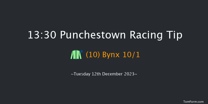 Punchestown 13:30 Handicap Hurdle 19f Sun 26th Nov 2023