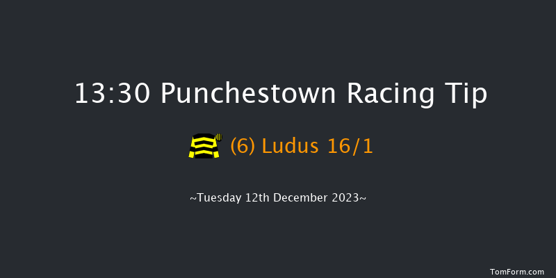 Punchestown 13:30 Handicap Hurdle 19f Sun 26th Nov 2023