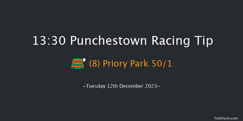 Punchestown 13:30 Handicap Hurdle 19f Sun 26th Nov 2023