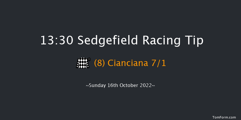 Sedgefield 13:30 Maiden Hurdle (Class 4) 17f Wed 5th Oct 2022