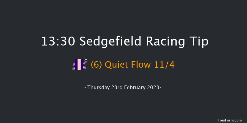 Sedgefield 13:30 Handicap Chase (Class 5) 21f Sun 29th Jan 2023