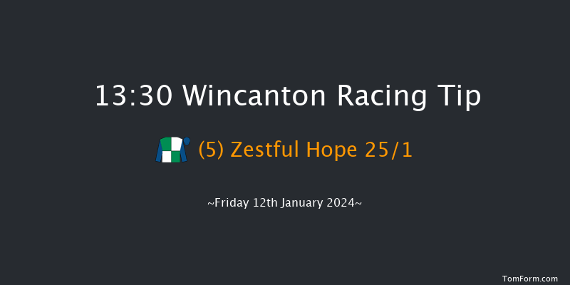 Wincanton 13:30 Handicap Hurdle (Class 4) 20f Sat 6th Jan 2024