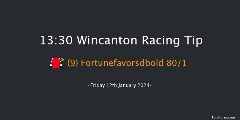 Wincanton 13:30 Handicap Hurdle (Class 4) 20f Sat 6th Jan 2024