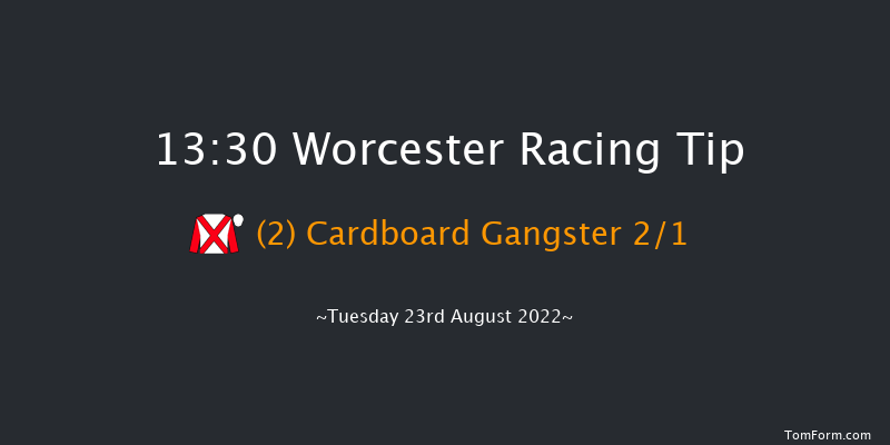 Worcester 13:30 Handicap Chase (Class 5) 23f Wed 17th Aug 2022