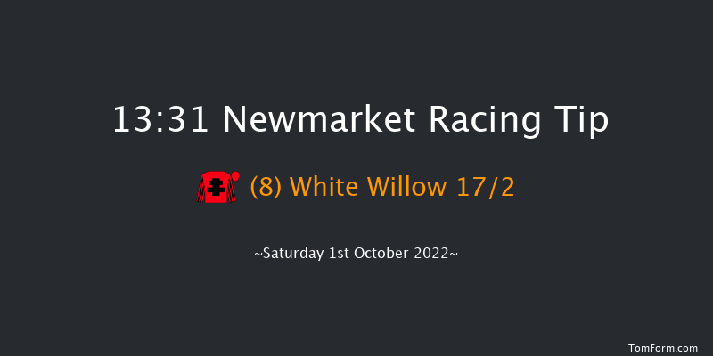 Newmarket 13:31 Handicap (Class 2) 10f Sat 24th Sep 2022