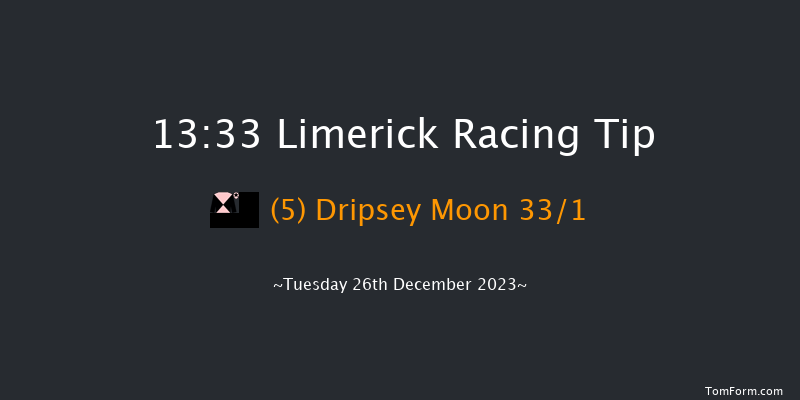 Limerick 13:33 Maiden Hurdle 23f Tue 21st Nov 2023