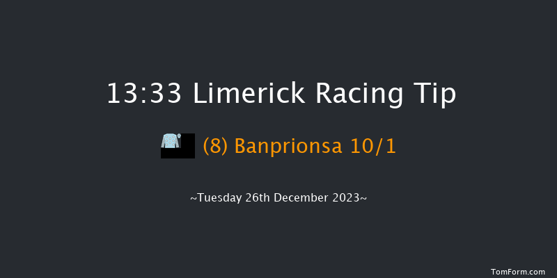 Limerick 13:33 Maiden Hurdle 23f Tue 21st Nov 2023