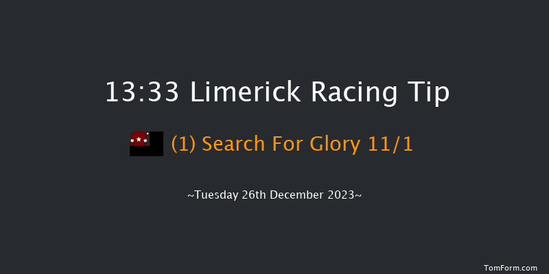 Limerick 13:33 Maiden Hurdle 23f Tue 21st Nov 2023