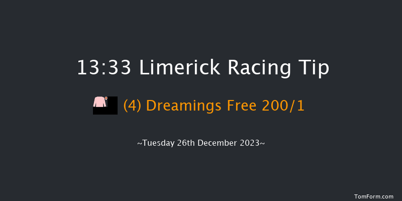 Limerick 13:33 Maiden Hurdle 23f Tue 21st Nov 2023