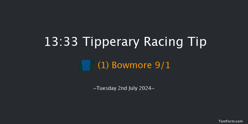 Tipperary  13:33 Maiden Chase 17f Wed 29th May 2024