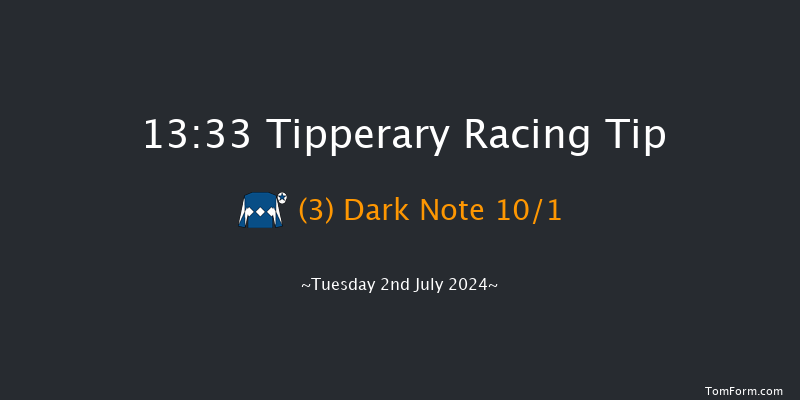 Tipperary  13:33 Maiden Chase 17f Wed 29th May 2024