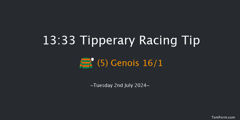 Tipperary  13:33 Maiden Chase 17f Wed 29th May 2024